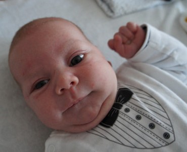 Milo - 07. Januar 2015